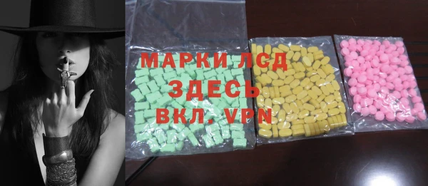индика Касимов