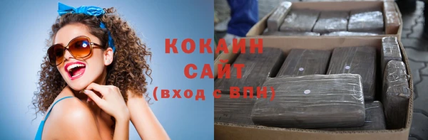 индика Касимов