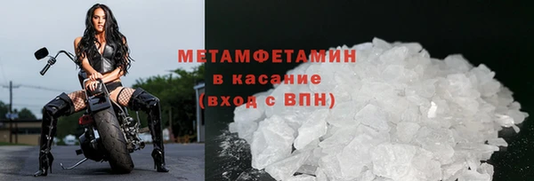 индика Касимов