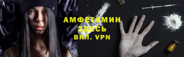 индика Касимов