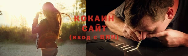 индика Касимов
