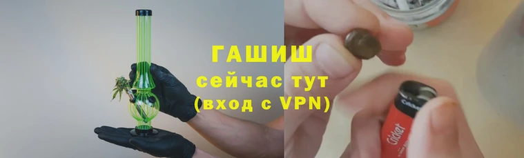 индика Касимов