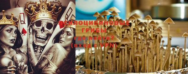 индика Касимов