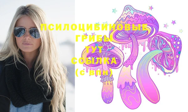 гидропоника Карпинск