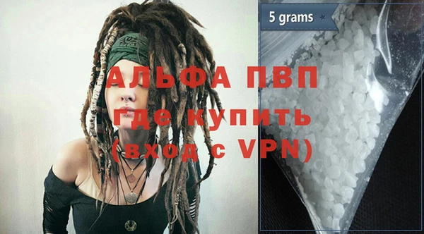 индика Касимов