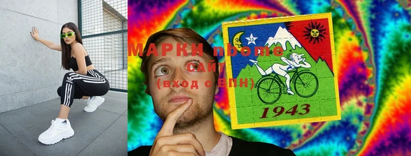 индика Касимов