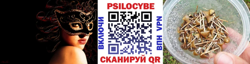 Псилоцибиновые грибы Magic Shrooms  Купить закладки  Светогорск 